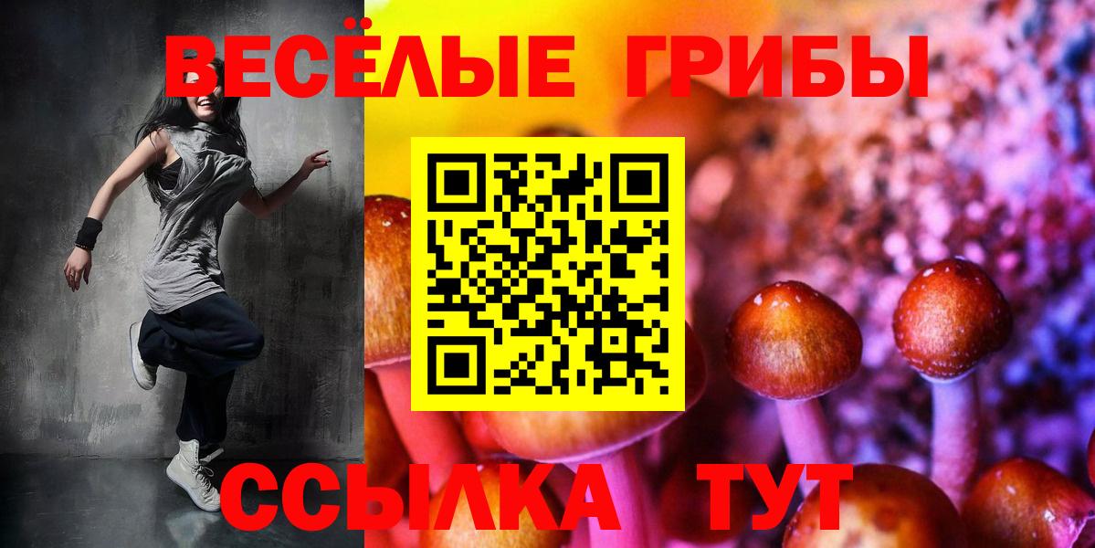даркнет сайт  Псилоцибиновые грибы Psilocybine cubensis  Галлюциногенные грибы MAGIC MUSHROOMS  Вход с VPN  Домодедово 